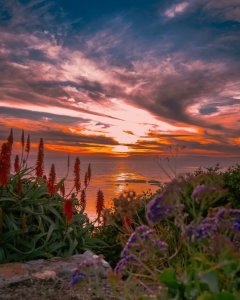 The Best Places to Celebrate an Anniversary in Laguna Beach