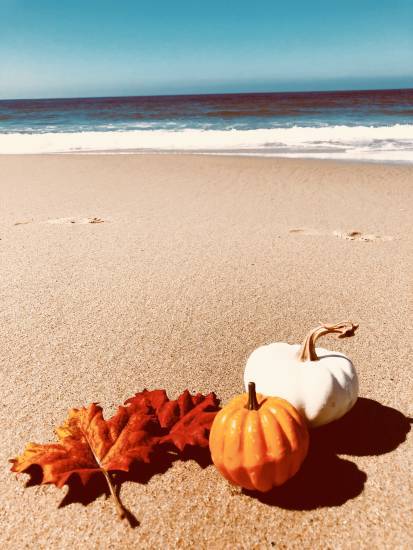 3 Reasons Fall is Epic in Laguna Beach