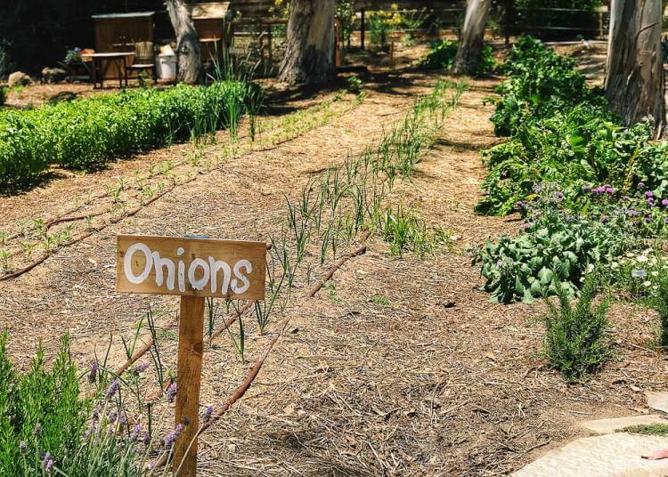 The Ultimate Southern California Vacation Experience