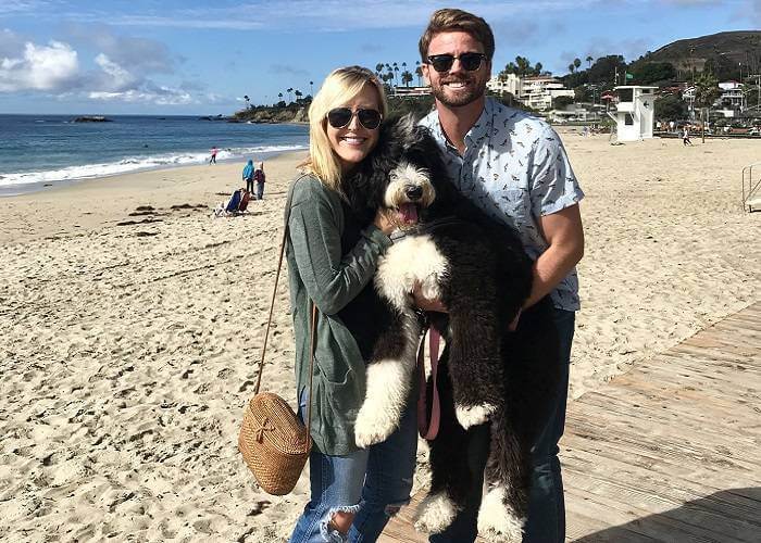 Dog Friendly Main Beach