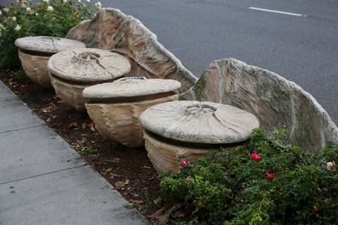 Forest Ave Laguna Beach