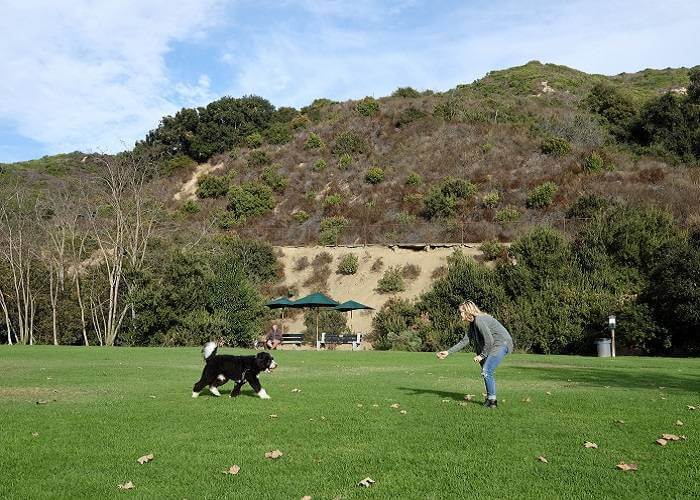 Laguna Beach Dog Park