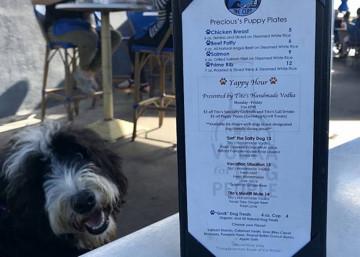 Pet Friendly Restaurants Laguna Beach The Cliff Restaurant