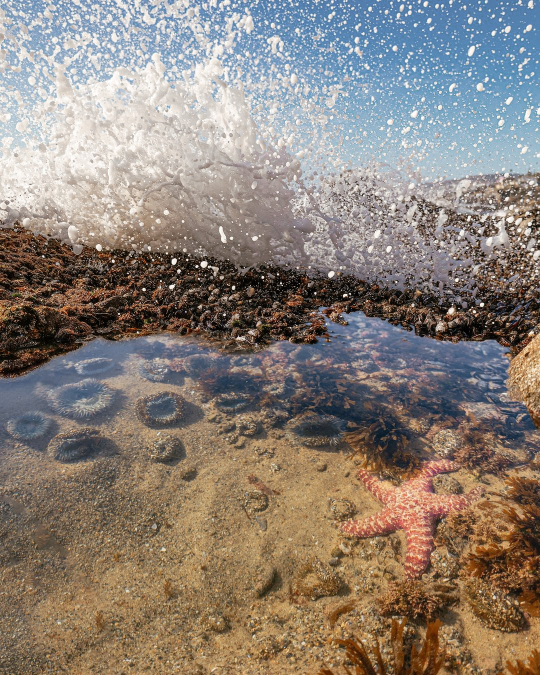 Planning a Budget-Friendly Stay in Laguna Beach