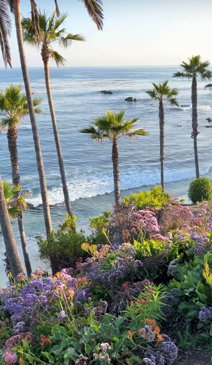 25 Things to Do in Laguna Beach in 2026