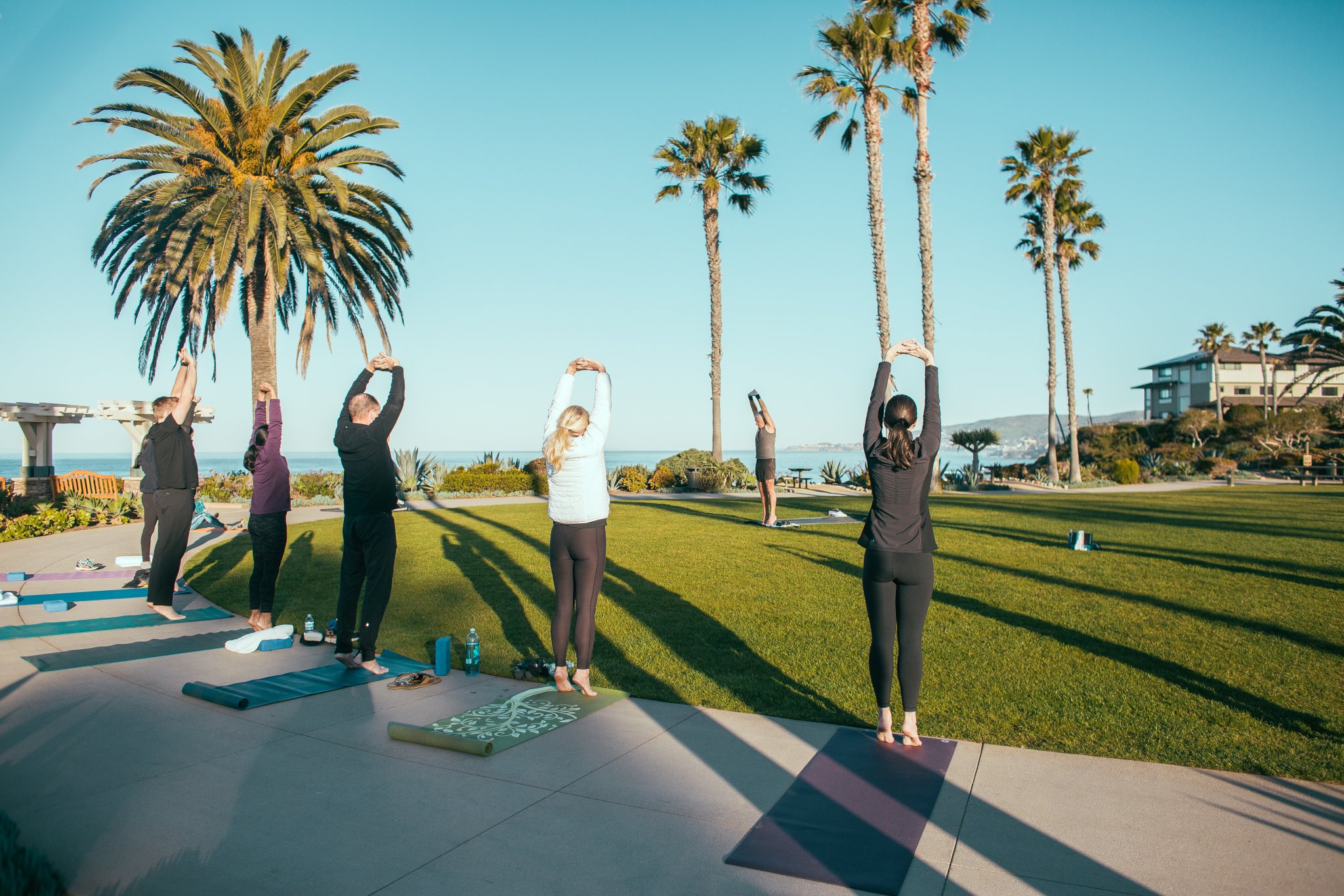 Team Building + Group Activities